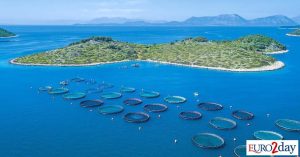 Νέα πρόταση της Cooke για Avramar κατατέθηκε στις τράπεζες