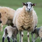 ΥΠΑΑΤ: Οριστικό τέλος στην «τεχνική λύση»