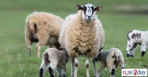 ΥΠΑΑΤ: Οριστικό τέλος στην «τεχνική λύση»