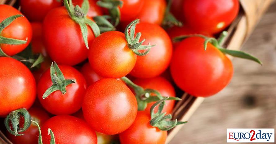 Θερμοκήπιο... γοτθικού τύπου στα Φάρσαλα μέσω Αναπτυξιακού