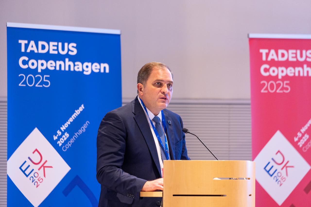 Γ. Πιτσιλής: Παρουσίασε το νέο Πολυετές Σχέδιο για τις φορολογικές διοικήσεις της Ε.Ε.