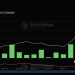 Τα SOL ETFs έγραψαν την πρώτη εκροή αλλά παραμένουν τα πιο «πεισματάρικα» crypto ETFs της χρονιάς