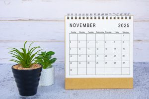 Σημαντικές φορολογικές και λοιπές υποχρεώσεις μηνός Νοεμβρίου 2025