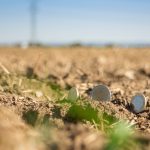 Τι προβλέπει το σχέδιο εκσυγχρονισμού για τον ΟΣΔΕ και τις αγροτικές επιδοτήσεις