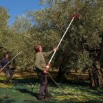 ΟΠΕΚΕΠΕ: Πληρώθηκαν 82.870 αγρότες για ενισχύσεις συνολικά 46 εκατ. ευρώ