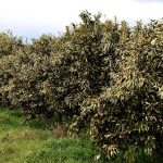 ΔΥΠΑ: Πρόγραμμα 80 ωρών για ανέργους και αγρότες στην Άρτα με εκπαιδευτικό επίδομα - FinanceNews.gr