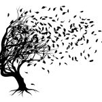 «Με λένε Νάντια Ανζουμάν»