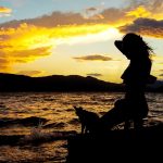 North Evia Pass 2025: Υποβλήθηκαν 85.804 αιτήσεις - FinanceNews.gr