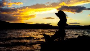 North Evia Pass 2025: Υποβλήθηκαν 85.804 αιτήσεις - FinanceNews.gr