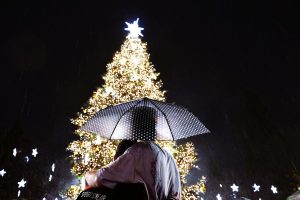 Φωταγωγήθηκε το χριστουγεννιάτικο δέντρο της Αθήνας... παρά τη βροχή (φωτό) - FinanceNews.gr