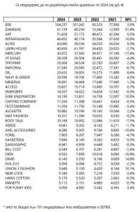 Επιχειρήσεις ένδυσης: Αύξηση 2,5% του τζίρου στο 1,231 δισ. ευρώ το 2024 - Ποιες κατέγραψαν τον μεγαλύτερο
