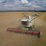 We are eating poison: Toxic