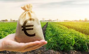 ΥπΑΑΤ: Οι πληρωμές στους αγρότες από 1/1 έως 1/12 του 2025