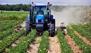 Σε σταυροδρόμι η ΚΑΠ: Εξοικονόμηση ή ανισότητες για τους αγρότες της ΕΕ