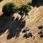 Ευλογιά: Τα μέτρα που ενεργοποιεί η κυβέρνηση για να ανακόψει τη διασπορά