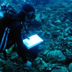 Εθνικά θαλάσσια πάρκα: Εγκρίθηκαν οι ειδικές μελέτες για Ιόνιο και Νότιες Κυκλάδες