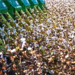 ΚΑΠ 2023-2027: Νέα χρηματοδότηση 96 εκατ. ευρώ για πράσινες αρόσιμες καλλιέργειες - FinanceNews.gr