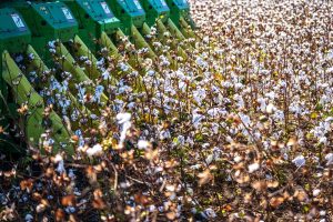 ΚΑΠ 2023-2027: Νέα χρηματοδότηση 96 εκατ. ευρώ για πράσινες αρόσιμες καλλιέργειες - FinanceNews.gr