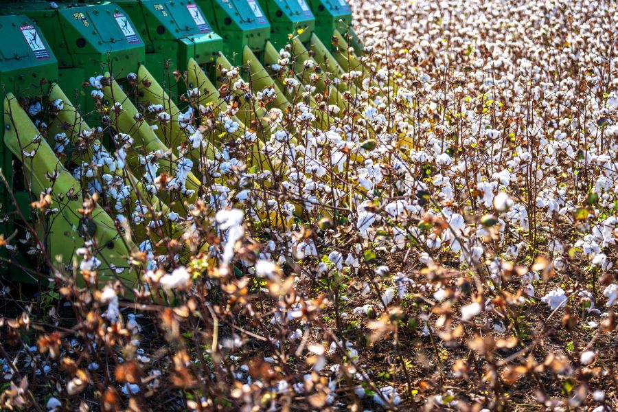 ΚΑΠ 2023-2027: Νέα χρηματοδότηση 96 εκατ. ευρώ για πράσινες αρόσιμες καλλιέργειες - FinanceNews.gr