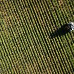 Ανοίγει ο δρόμος για Σχέδια Βελτίωσης με ενισχύσεις έως 70%: Τι προβλέπει η νέα πρόσκληση