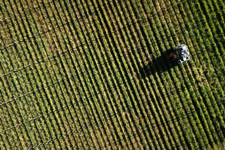 Ανοίγει ο δρόμος για Σχέδια Βελτίωσης με ενισχύσεις έως 70%: Τι προβλέπει η νέα πρόσκληση