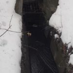 Θρίλερ στο Κίεβο - Εντοπίστηκε το πτώμα μίας γυναίκας κοντά στην πρεσβεία των ΗΠΑ