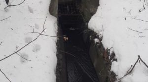 Θρίλερ στο Κίεβο - Εντοπίστηκε το πτώμα μίας γυναίκας κοντά στην πρεσβεία των ΗΠΑ