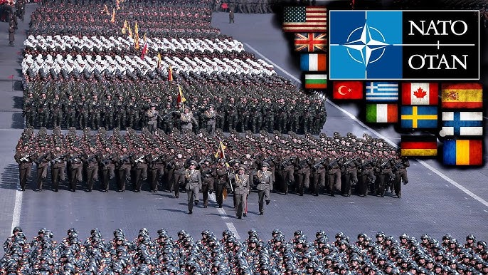 Nato_armies.jpg