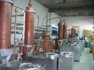 Εισαγωγές - εξαγωγές στη Βενεζουέλα: Μικρό αποτύπωμα για την Ελλάδα το 2024, ποιοι κλάδοι ξεχωρίζουν