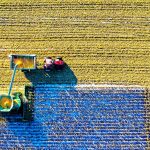 Η αγροτική ανάπτυξη σε αριθμούς: Πού πήγαν τα 8 δισ.€ της ΚΑΠ 2014-2022