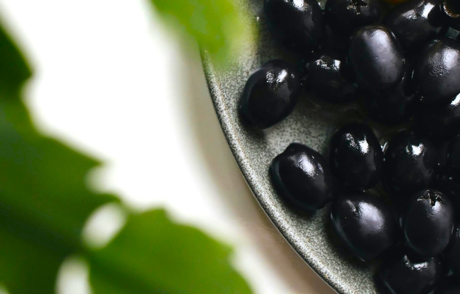 Ευρωπαϊκές ελιές υπό πίεση: Πώς η ΕΕ-Mercosur απειλεί έναν εξαγωγικό πυλώνα της Μεσογείου