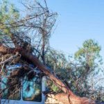 Ευθύνη του ΟΣΕ ο καθαρισμός των γραμμών: Δένδρο καταπλάκωσε τρένο της Hellenic Train - Financial Report