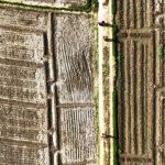 Η ΚΑΠ στο μικροσκόπιο: Πού καταλήγουν οι ευρωπαϊκές αγροτικές ενισχύσεις