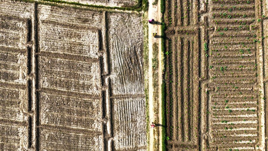 Η ΚΑΠ στο μικροσκόπιο: Πού καταλήγουν οι ευρωπαϊκές αγροτικές ενισχύσεις