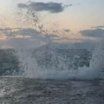 Kakokairia e1769938775463 optimized