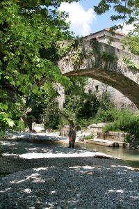 Δήμος Ζίτσας: Ερώτηση στη Βουλή για την ακύρωση οικονομικής ενίσχυσης σε νέες οικογένειες