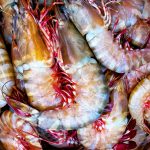 Διατροφική απάτη 195 δισ.$ στα θαλασσινά: Πώς στήνεται το παιχνίδι των «χρυσών» ψαριών