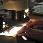 ΕΚΤ: 444.000 πλαστά τραπεζογραμμάτια ευρώ αποσύρθηκαν από την κυκλοφορία το 2025