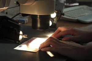 ΕΚΤ: 444.000 πλαστά τραπεζογραμμάτια ευρώ αποσύρθηκαν από την κυκλοφορία το 2025