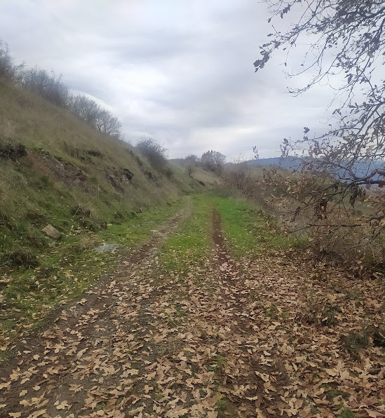 ΕΜΥ - Καιρός: Έρχονται βροχές, κρύο και βοριάδες (live)
