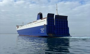 Νέες αυξήσεις χωρητικότητας μεταξύ DFDS και Grimaldi στη διαδρομή Τουρκία-Τεργέστη - Αρχιπέλαγος, Η 1η ναυτιλιακή πύλη ενημέρωσης στην Ελλάδα