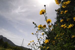 ΕΜΥ - Καιρός: Νεφώσεις και τοπικές ασθενείς βροχές - Μικρή πτώση θερμοκρασίας (live)