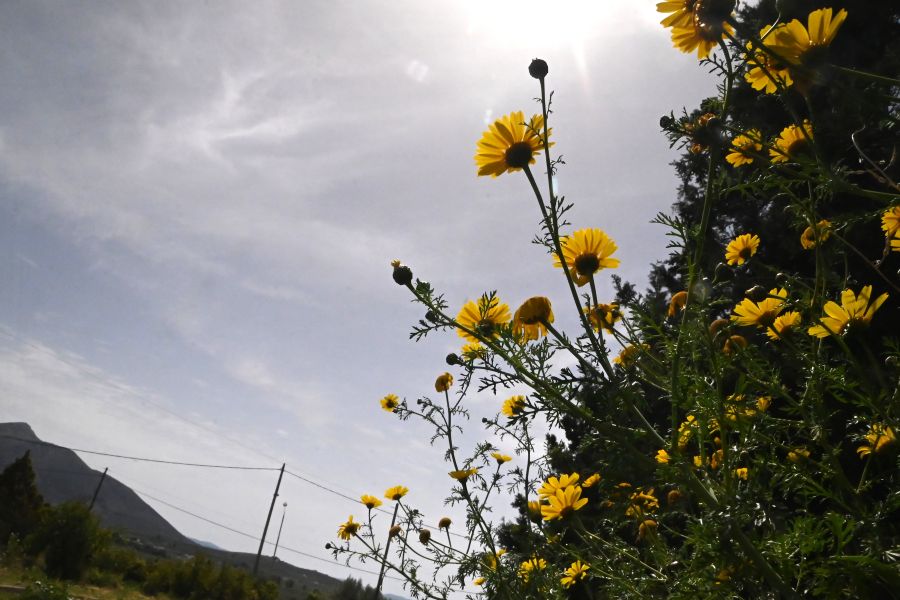 ΕΜΥ - Καιρός: Νεφώσεις και τοπικές ασθενείς βροχές - Μικρή πτώση θερμοκρασίας (live)