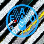 Καμπανάκι FAO για νοικοκυριά: Από το πετρέλαιο στο... πιάτο - Οι τιμές τροφίμων «παίρνουν φωτιά»