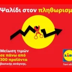 Lidl Ελλάς: Μειώνει τιμές σε 300 προϊόντα - «Ανάσα» για τα νοικοκυριά