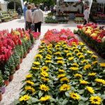 Αργία Πρωτομαγιάς: Πότε μεταφέρεται – Τι ισχύει φέτος για εργαζόμενους και επιχειρήσεις