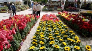 Αργία Πρωτομαγιάς: Πότε μεταφέρεται – Τι ισχύει φέτος για εργαζόμενους και επιχειρήσεις