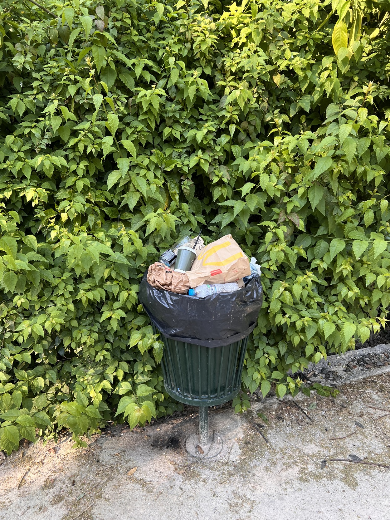 Εθνικός Κήπος σκουπίδια Δούκας δήμαρχος