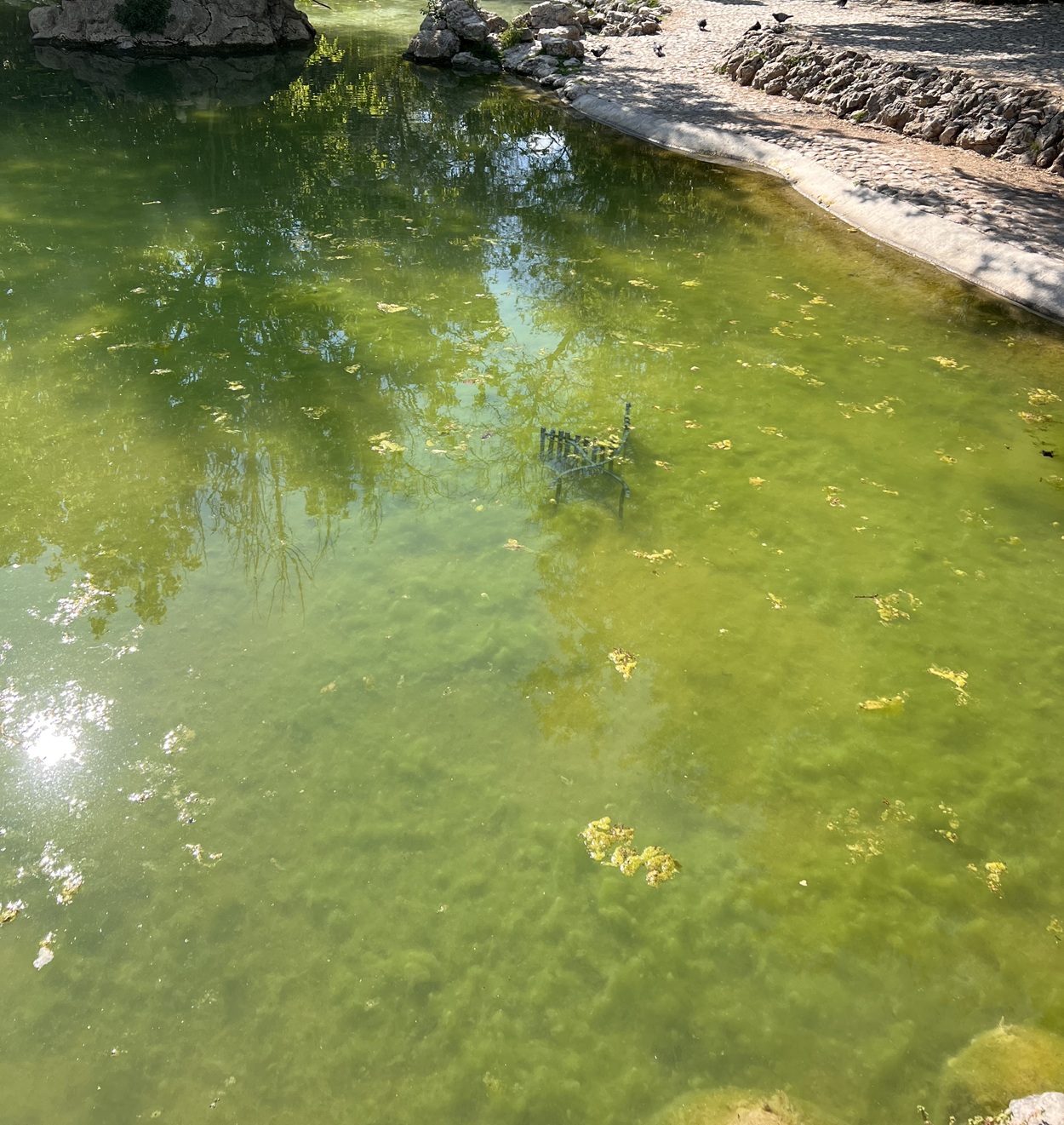 Εθνικός Κήπος σκουπίδια Δούκας δήμαρχος