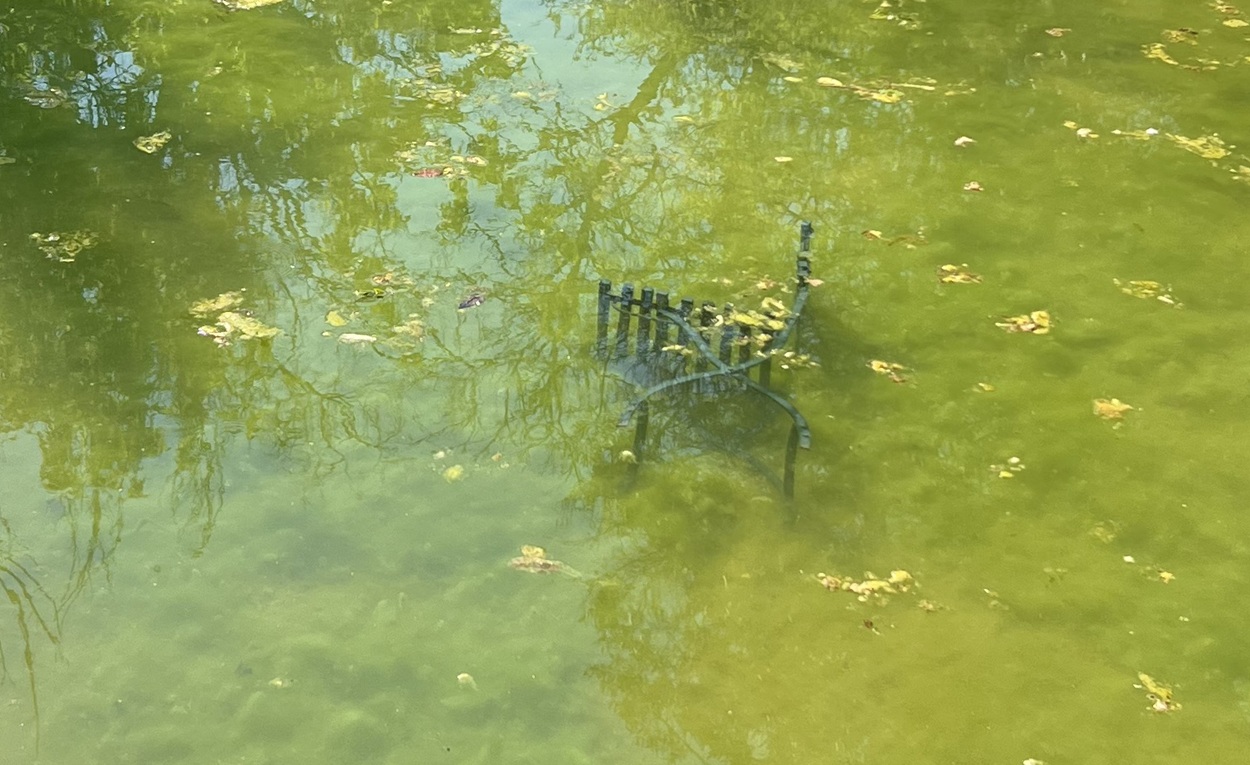 Εθνικός Κήπος σκουπίδια Δούκας δήμαρχος